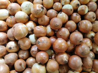 Onions at market. A bunch of commercially-displayed fresh organic onion bulbs, or 'bawang bombay'  