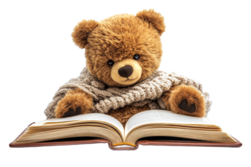 Cute teddy bear reading a book in cozy sweater