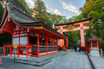 Naklejka premium Fushimi Inari Taisha shrine in Kyoto, Japan