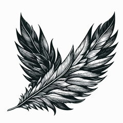 Obraz premium feather vector illustration