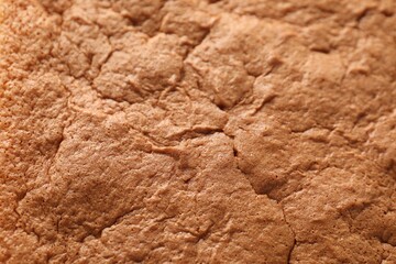 Tasty Japanese Castella sponge cake as background, top view