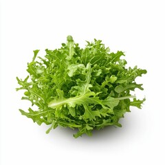 Obraz premium Fresh Frisee Lettuce Bunch