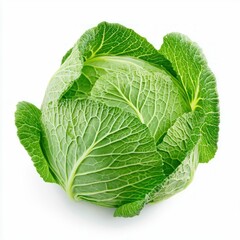 Obraz premium Vibrant Savoy Cabbage