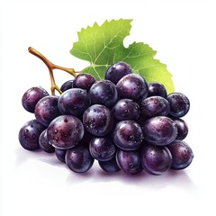 Fototapeta premium Ripe Red Grapes with Green Leaf on White Background