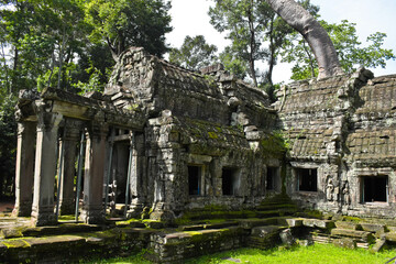 The Tombraider temple (Ta prohm) in Cambodia
