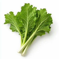 Fresh Mustard Greens Bunch