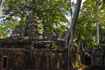 The Tombraider temple (Ta prohm) in Cambodia