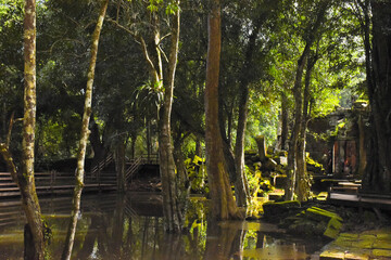 The Tombraider temple (Ta prohm) in Cambodia