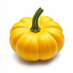 Bright Yellow Pattypan Squash