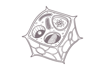 Educational Plant Cell Silhouette Graphic Vector Clipart Isolated Illustration