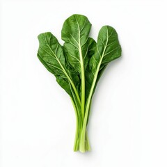 Fresh Green Chard Bundle