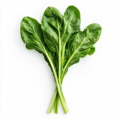 Fresh Green Chard Bunch