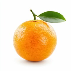 Fresh Mandarin Still Life