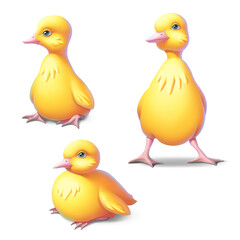 duck