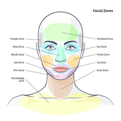 Fototapeta premium Facial cosmetic zones diagram. Health zones on the skin illustration