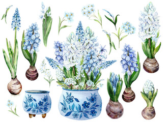 Spring Set. Watercolor illustration of a composition in a painted pot of hyacinths and forget-me-nots. The drawing is hand drawn on a white background in pastel colors. Suitable for cards, invitations