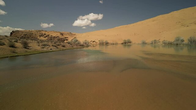 A river in Mongolia in the Gobbi desert where wild ducks and geese swim, a mini dam has been built on this river. Waterfowl in the desert.