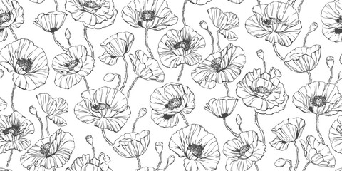 Elegant floral seamless pattern poppies - line illustration. Delicate print of flowers, petals, buds, nature. Doodle two-color black and white silhouette repeat background. Simple vector graphics. 