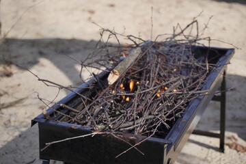 Close-up fire in grill on beach near the lake and forest. Piknic time, friying food in nature, Street food outdoor