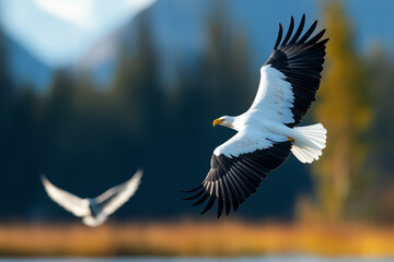 Majestic bald eagles soaring gracefully in sky, showcasing their impressive wingspan against blurred natural backdrop. scene captures beauty of wildlife in flight
