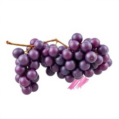 Fototapeta premium 3D Purple Grapes with Artistic Paintbrush Stroke Effect, Isolated on White Background for a Creative Look
