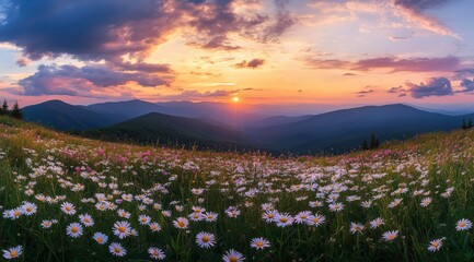 Sunset over blooming hills: Panoramic view of rolling hills with a carpet of blooming flowers as the sun sets over a mountain range, painting the sky with hues of orange, purple, and gold.