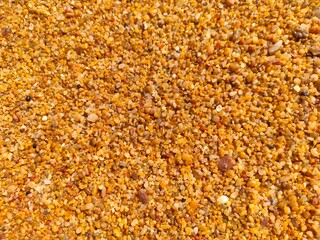 Golden Sands of Greece