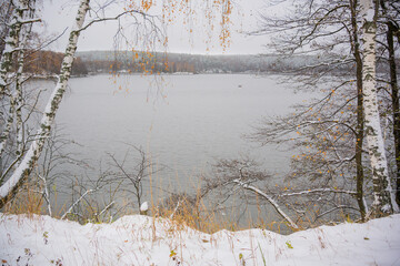 snow covered trees in winter