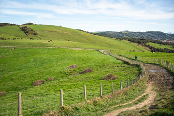green hill