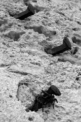 Ancient rusty forged nails sticking out of stone wall. Weathered lime stone. Black and white photo. Copy space for text.