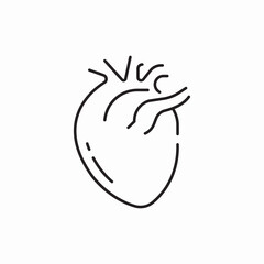 Human heart medical organ icon vector sign