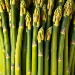 Fototapeta premium Fresh Green Asparagus Spears Close Up Vertical Pattern Background