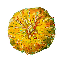 Watercolor painting of a pumpkin
