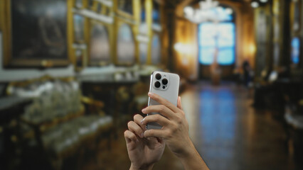 Man holding smartphone in elegant museum room with classic decor, focusing on technology and art in...