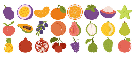 Hand-Drawn Tropical and Exotic Fruits Collection in a Modern Flat Style with Vibrant Colors