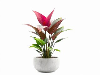  Tropical 3D Indoor House Plant in a Concrete Pot