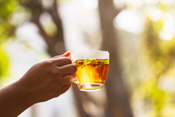 Women hand holding hot lemon tea against nature background, very healthy drink