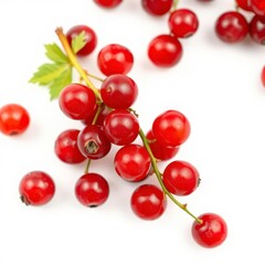  Close up of Fresh Red Currants with Glowing Red Hue on White