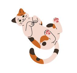 Cute friendly cat lying on its back, seeking attention, love. Happy kitten relaxes in funny pose, belly up. Amusing kitty, pet, animal has a rest. Flat isolated vector illustration on white background
