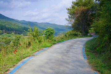 Scenic Cycling Path Along the Seomjin River