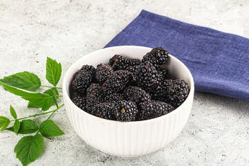 Natural organic sweet ripe blackberry
