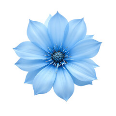 Fototapeta premium Soft Blue Flower with Delicate Petals and Intricate Details Isolated on Transparent Background