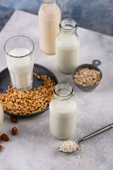 Plant based vegan non dairy alternative milk