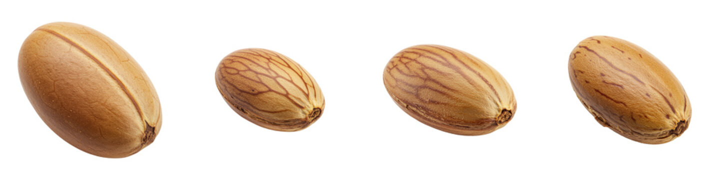 African Mango Seed, Cut Out Set
