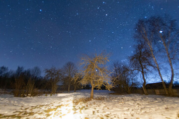night sky in the garden in winter, stars