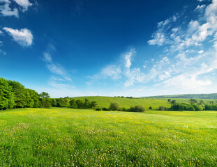 Obraz premium Generated image 5月の青空