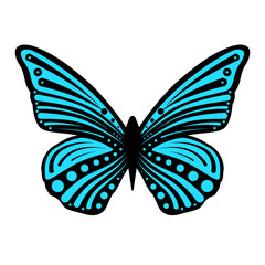 Blue butterfly with decorative wings