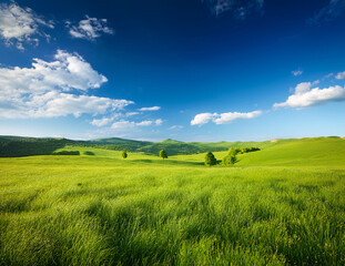 Fototapeta premium Generated image 5月の青空