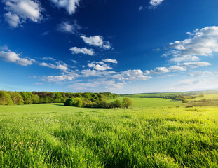 Fototapeta premium Generated image 5月の青空