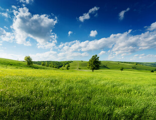 Obraz premium Generated image 5月の青空